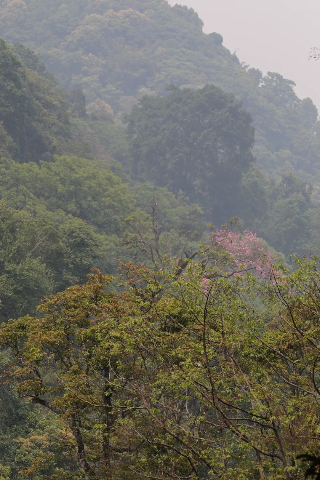 623ec2a1d0eaf.jpg 623ec2a1d0eaf.jpg