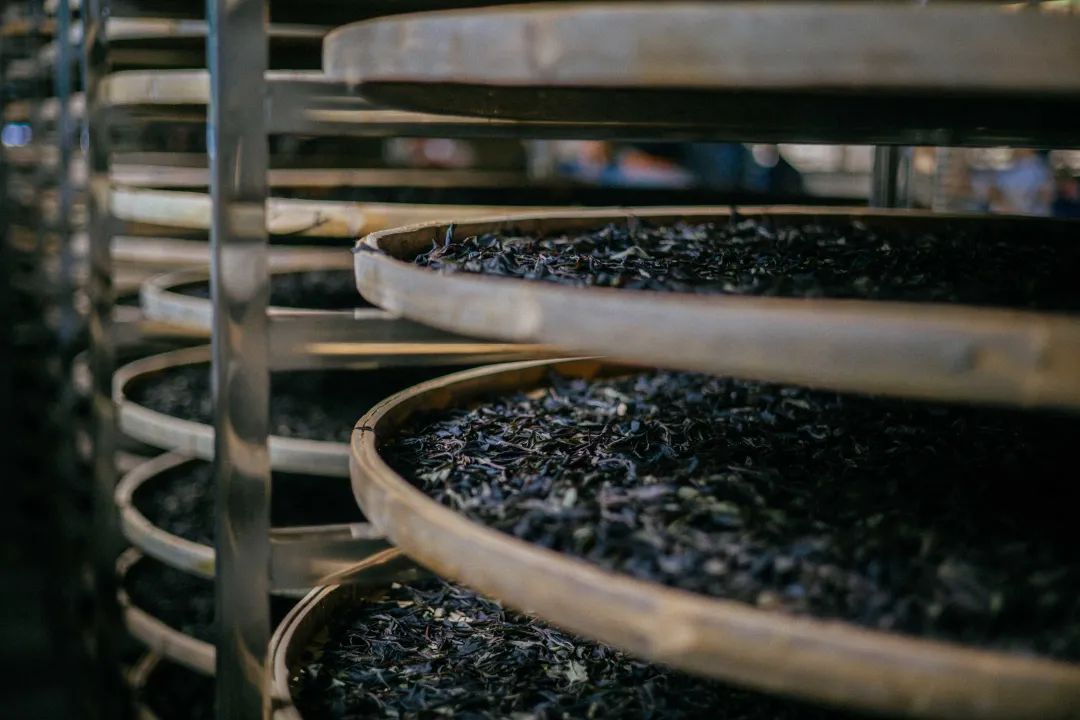 623ec5c55726f.jpg 623ec5c55726f.jpg