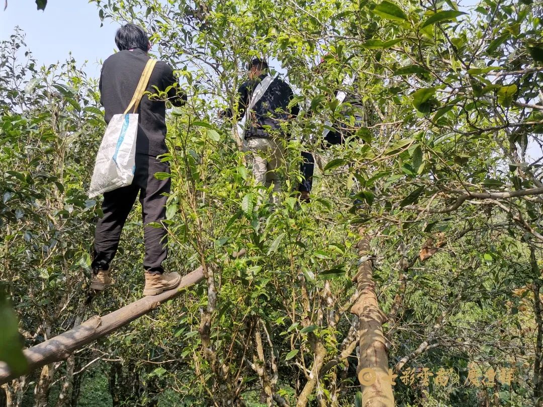 624cf38e7bcd4.jpg 624cf38e7bcd4.jpg