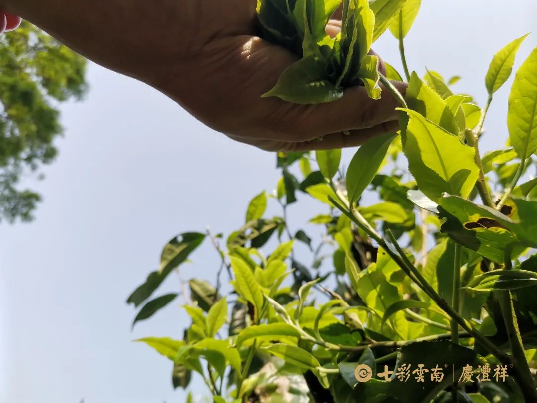 624cf3f58a181.jpg 624cf3f58a181.jpg