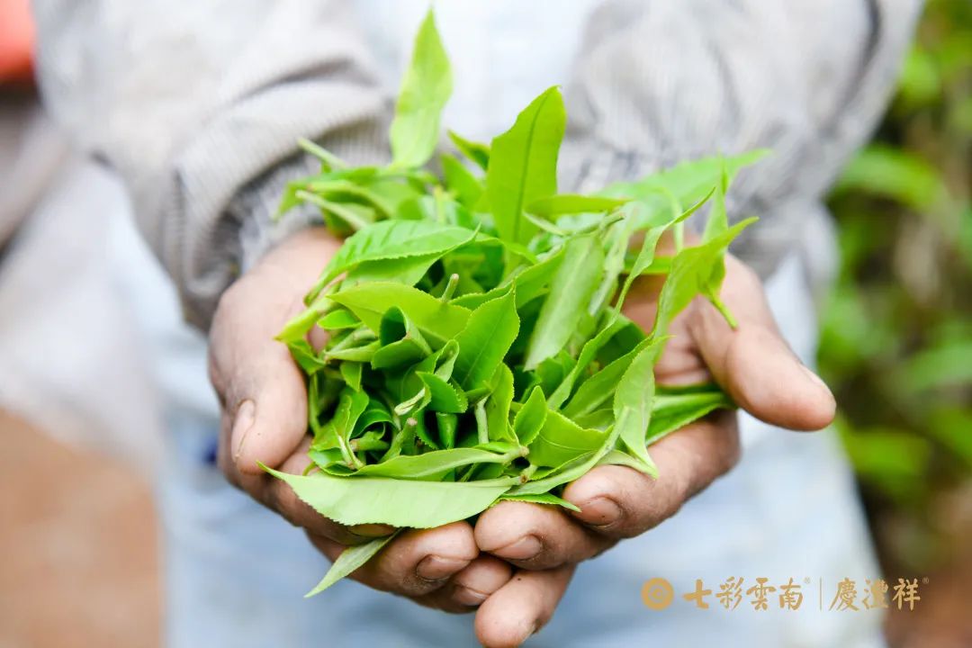 624cf524190e0.jpg 624cf524190e0.jpg