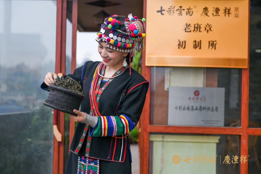 624cf68a39d18.jpg 624cf68a39d18.jpg