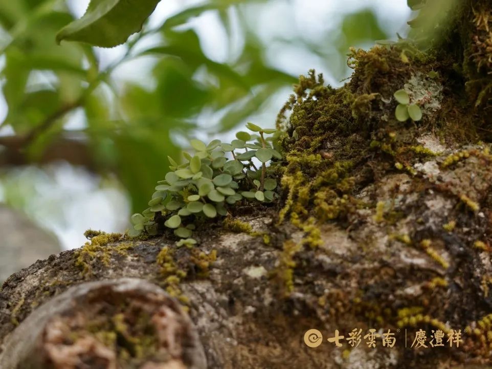 624e7f0124fa1.jpg 624e7f0124fa1.jpg