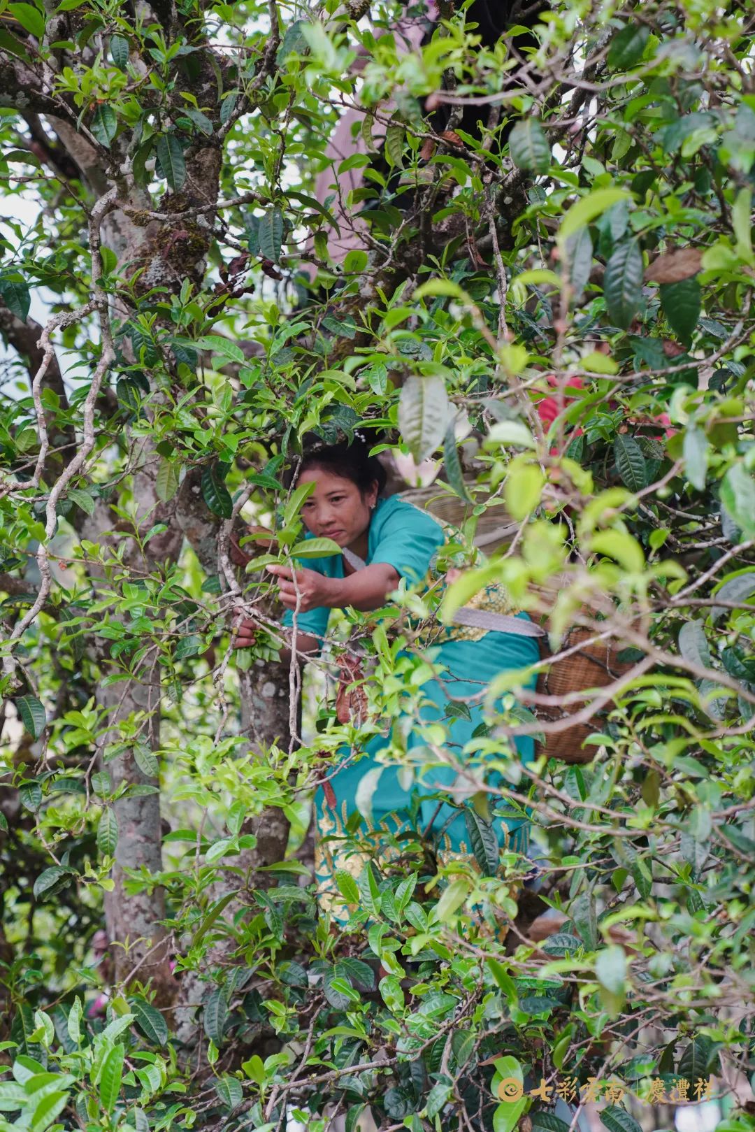 624e7ff4ada6f.jpg 624e7ff4ada6f.jpg