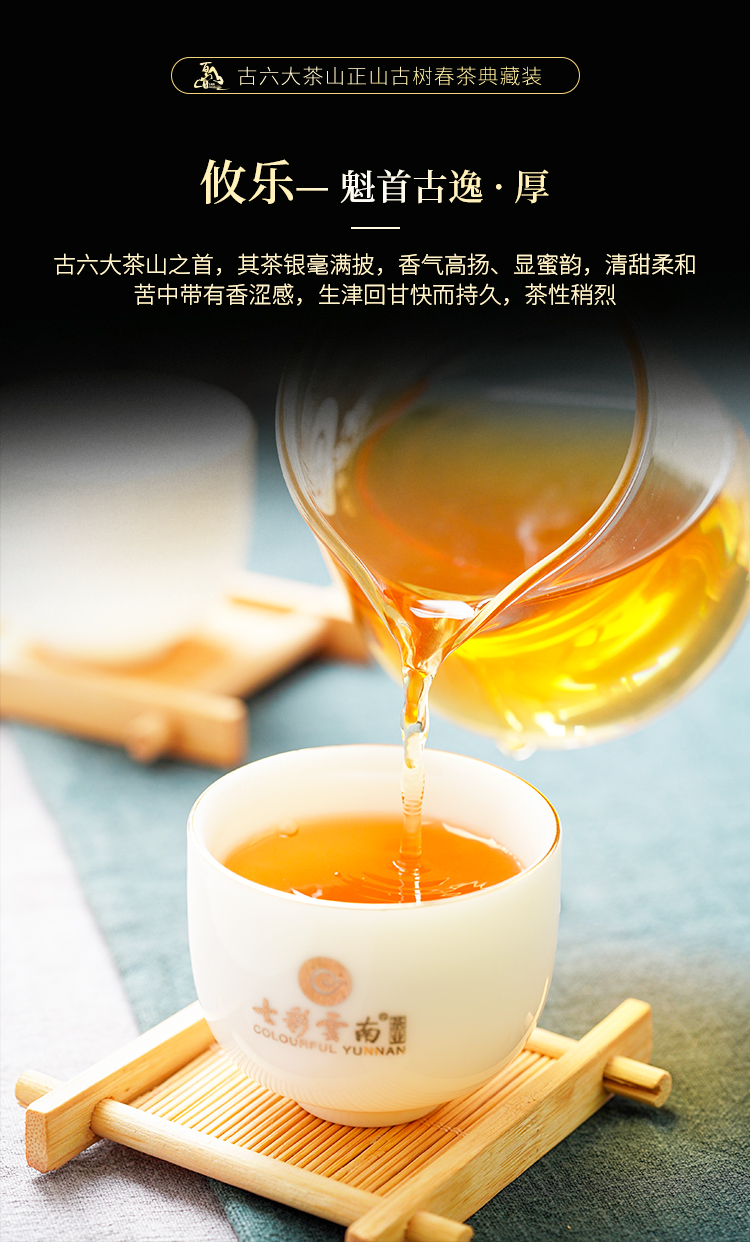 2024-古六大茶山正山古樹春茶典藏裝_06.jpg