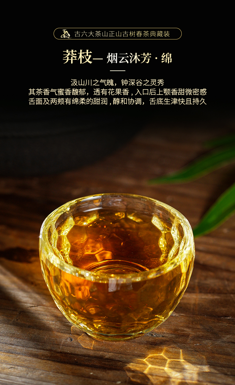 2024-古六大茶山正山古樹春茶典藏裝_09.jpg