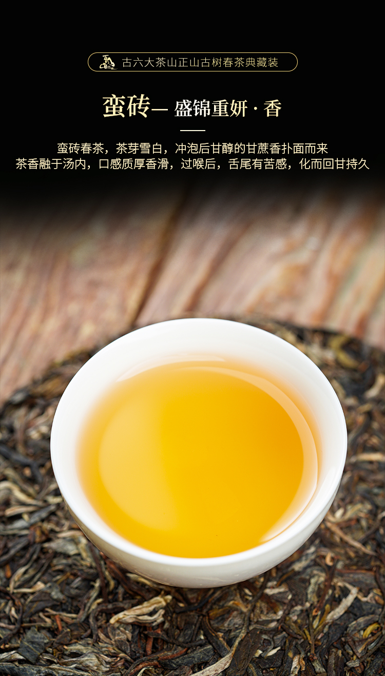 2024-古六大茶山正山古樹春茶典藏裝_10.jpg