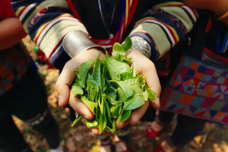 66c3fac5c495a.jpg 畫板 10.jpg