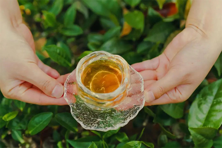 66c3fb55787dc.jpg 畫板 5.jpg