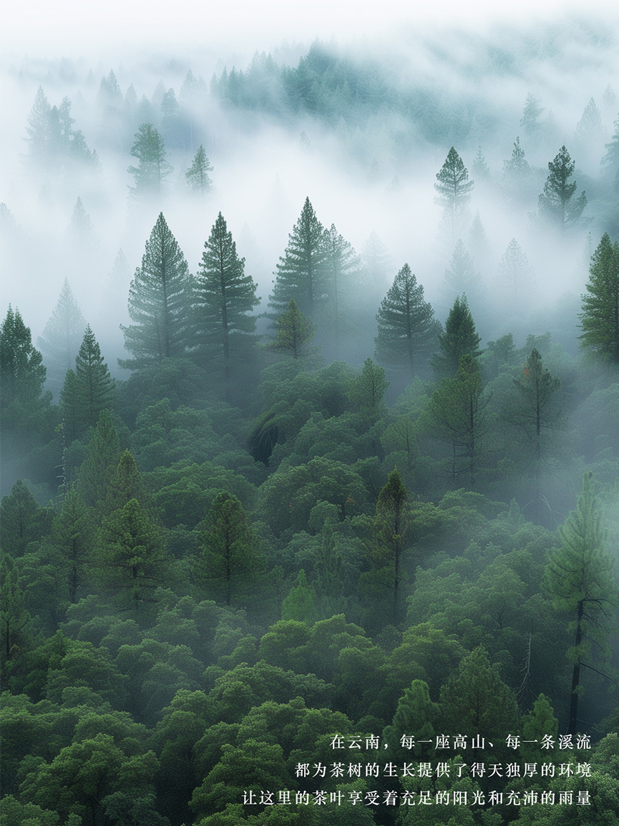 672c66af6749e.jpg 畫(huà)板 1.jpg