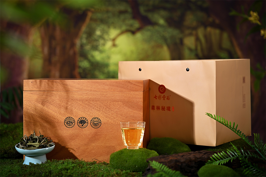 672c6750b2806.png 森林1.png