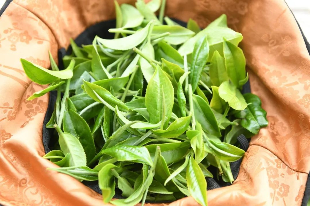 675a794827a62.png 2.png