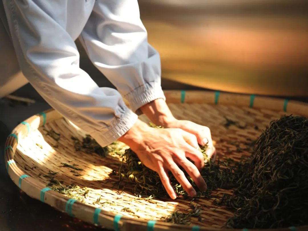 675a7979d737e.png 3.png