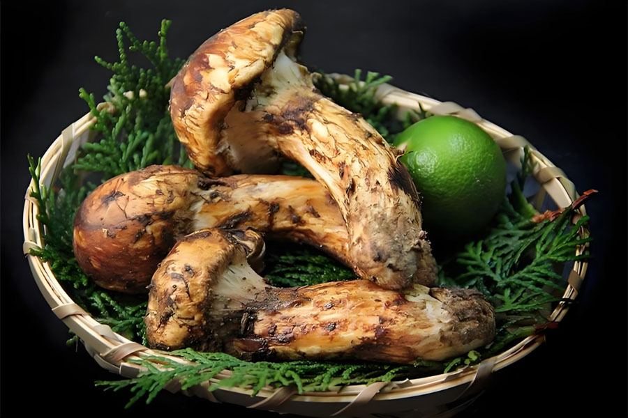 675bac30e1a4b.jpg 20.jpg