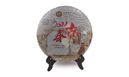 2011春古生茶